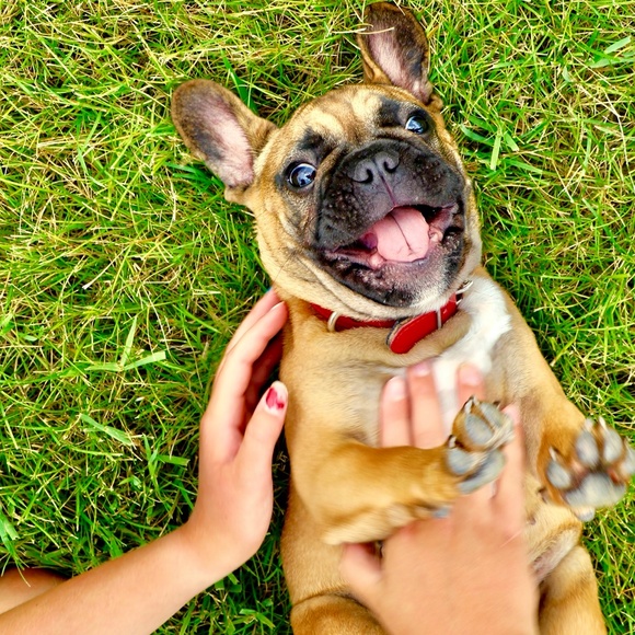 Meet your Posher, Tracy - Picture 15 of 15